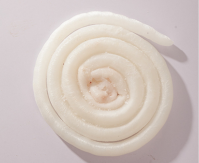 鱘魚(yú)龍筋